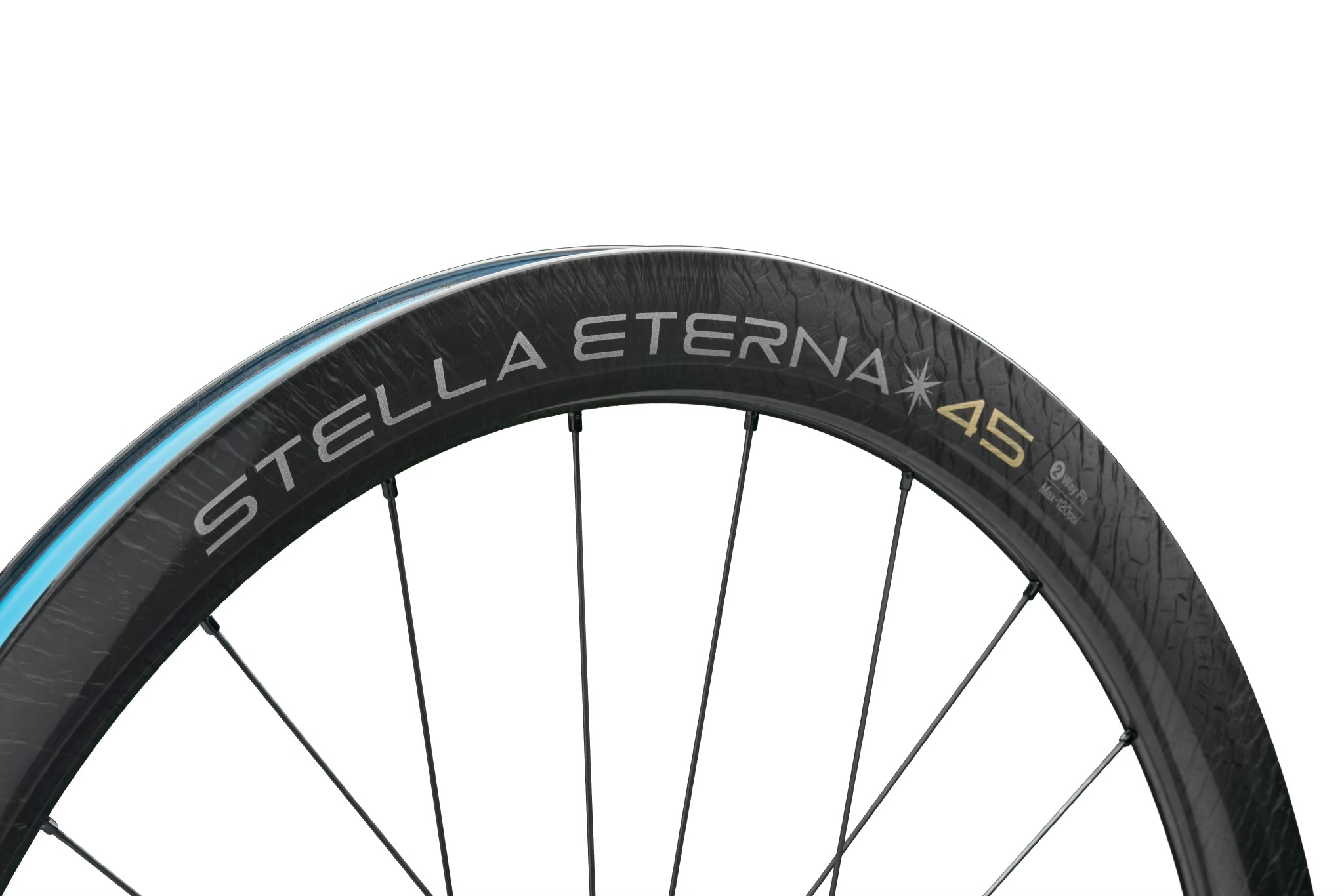 BOREAS STELLA ETERNA 永恆之星 DB